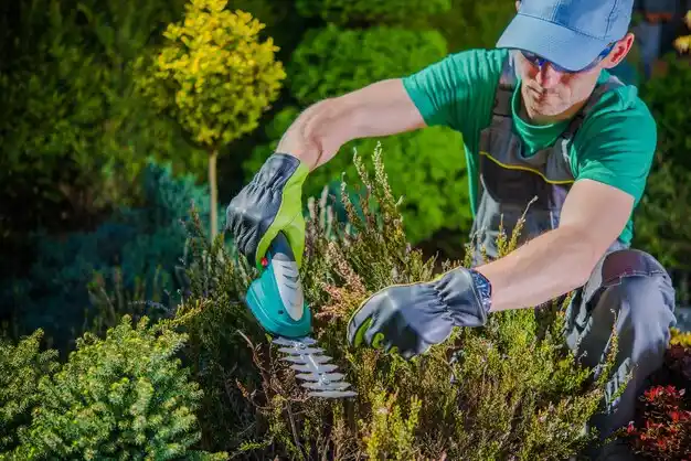 landscaping services Sweet Springs